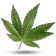Logo Lord of CBD