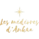 Logo Les médéores d'Ankaa