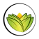 Logo The Ayurveda Experience