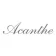 Logo Acanthe