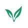 Logo Lepivits