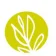 Logo Bioflore
