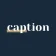 Logo Caption