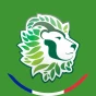 Logo KingVert