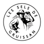 Logo Les salins de Gruissan