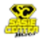Logo Sasie Center Moto
