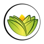 Logo The Ayurveda Experience