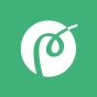 Logo Pandacraft