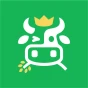 Logo CropBytes