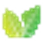 Logo Henné Paradise