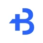 Logo BIGToken