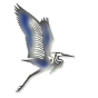 Logo Netvin