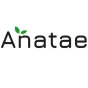 Logo Anatae